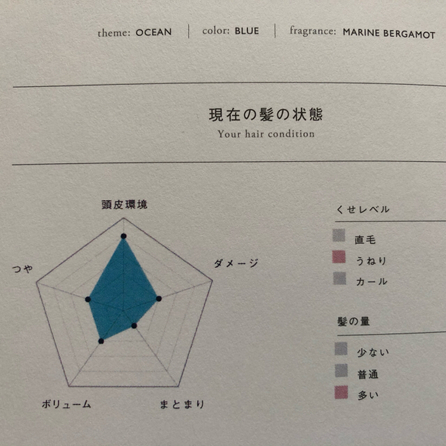 MEDULLA 本体、詰替セット トリートメントオイル付　メデュラ コスメ/美容のヘアケア/スタイリング(シャンプー/コンディショナーセット)の商品写真