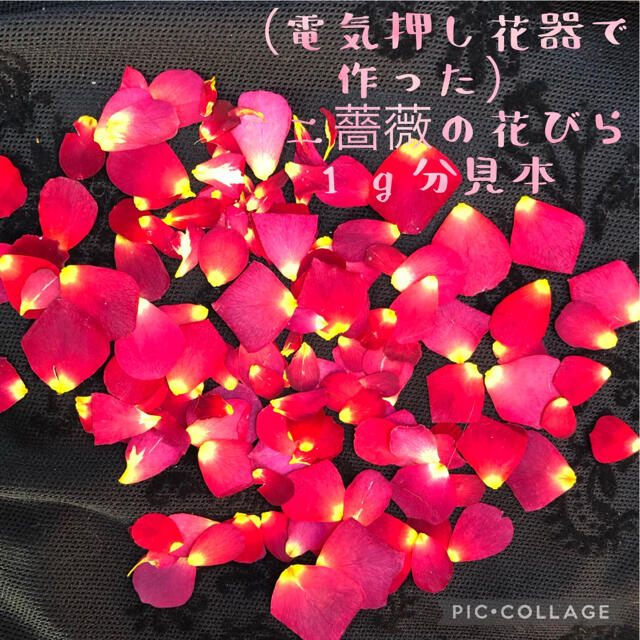 ミニバラ　花びらのおし花1gセット★花弁　ドライフラワー★花材　レジン素材にも★ ハンドメイドのフラワー/ガーデン(ドライフラワー)の商品写真