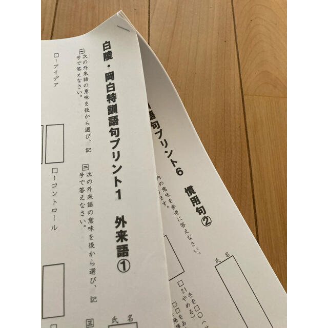 岡山白陵　岡白　特訓語句プリント　新品未使用 エンタメ/ホビーの本(語学/参考書)の商品写真