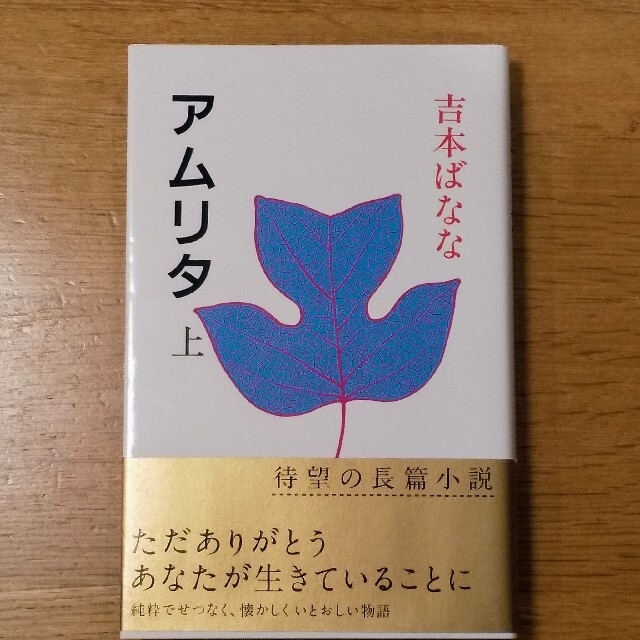 アムリタ 上  吉本ばなな エンタメ/ホビーの本(文学/小説)の商品写真