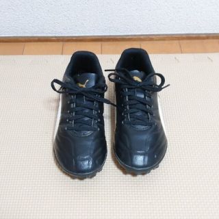 プーマ(PUMA)のプーマ トレーニングシューズ ジュニア(シューズ)