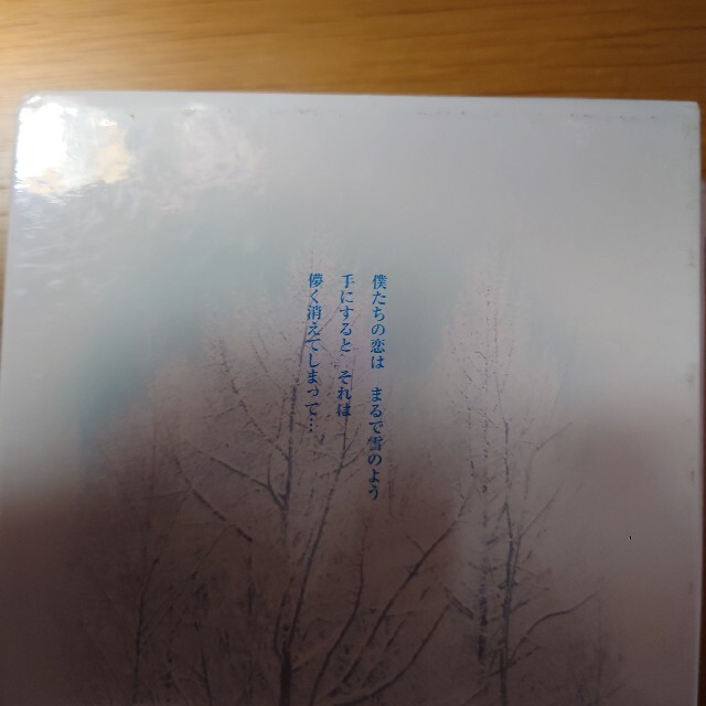 冬のソナタ 本編＋特典　DVD