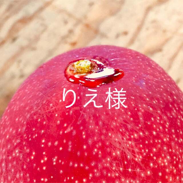 宮崎県産 完熟マンゴー 自家用 4kgフルーツ
