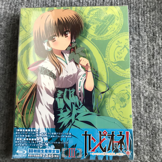 カンピオーネ！～まつろわぬ神々と神殺しの魔王～　3【初回生産限定版】 Blu-r