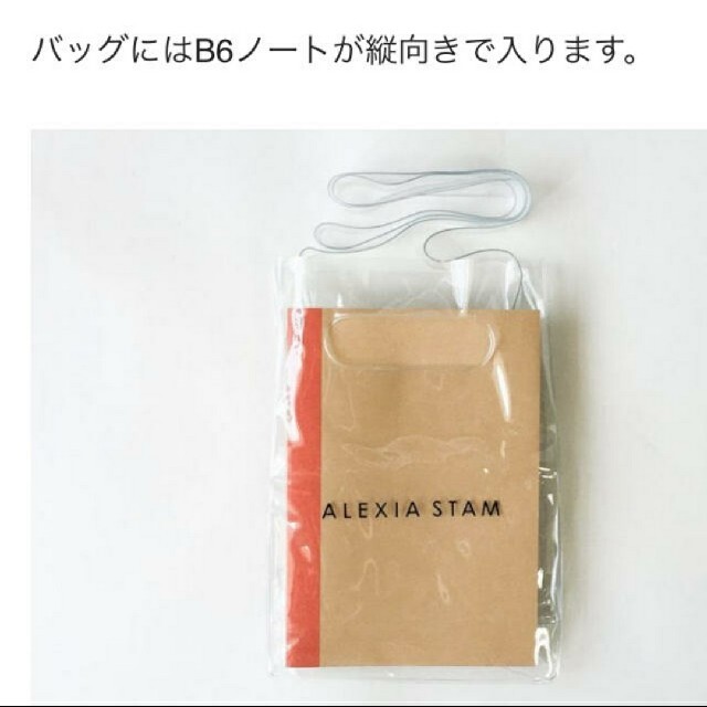 ALEXIA STAM(アリシアスタン)のALEXIA STAM PVCショルダーバッグ ジェイジェイ レディースのバッグ(ショルダーバッグ)の商品写真