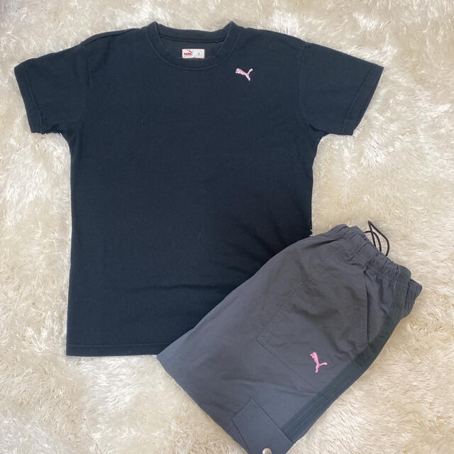 PUMA(プーマ)の美品 PUMA Tシャツ パンツ セット レディースのレディース その他(セット/コーデ)の商品写真