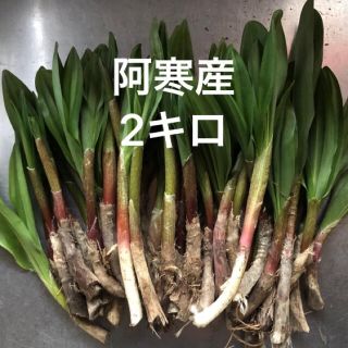 行者ニンニク(野菜)