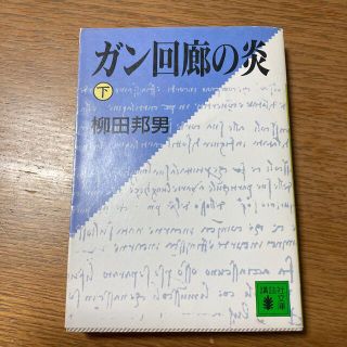 匿名配送！ガン回廊の炎 下(文学/小説)