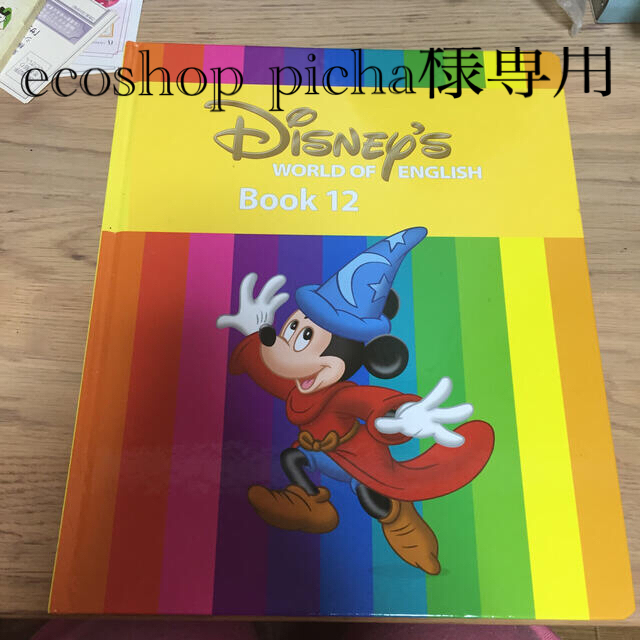 Disney(ディズニー)のecoshop picha様専用です！ワールドファミリー　BOOK 4冊セット キッズ/ベビー/マタニティのおもちゃ(知育玩具)の商品写真