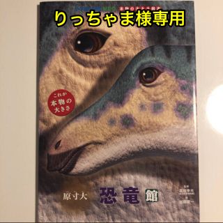 ショウガクカン(小学館)の小学館恐竜館 原寸大　NEO ＋恐竜パズル付けます♪(知育玩具)