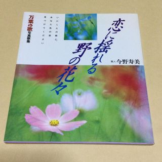 恋に揺れる野の花々 万葉の歌写真歌集(文学/小説)