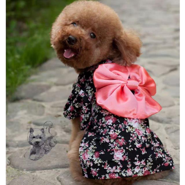ペット用品　ペット洋服　犬服　犬の服　犬用品　和風　サクラ柄　可愛い　季節　夏