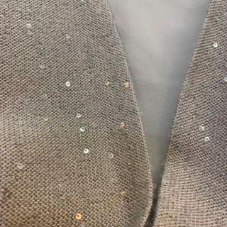 BRUNELLO CUCINELLI - 美品 ブルネロクチネリ ベスト スパンコールジレ