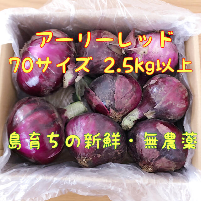 【島の大地で育った無農薬！】紫玉ねぎ　2.5kg以上　※数量限定※ 食品/飲料/酒の食品(野菜)の商品写真