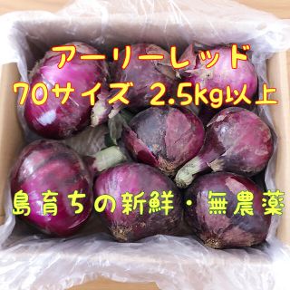 【島の大地で育った無農薬！】紫玉ねぎ　2.5kg以上　※数量限定※(野菜)