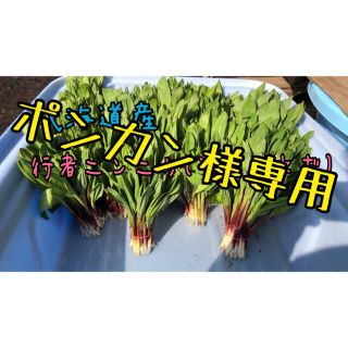 行者ニンニク 1.5きろ　ポンカン様専用(野菜)