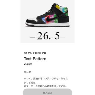 ナイキ(NIKE)のNIKE SB DUNK HIGH プロ TEST PATTERN(スニーカー)