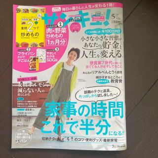 サンキュ!ミニ 2021年 05月号(生活/健康)