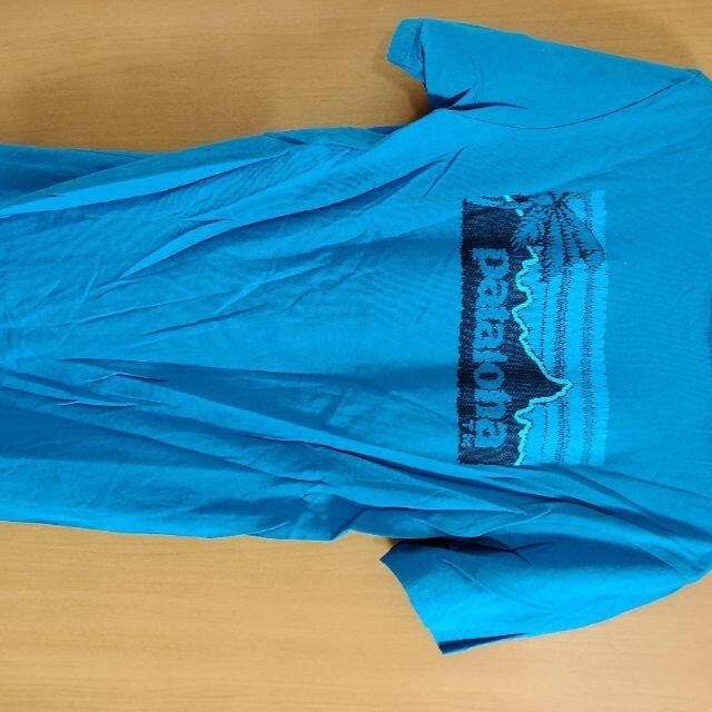 patagonia(パタゴニア)のパタゴニア　patagonia Tシャツ　青 メンズのトップス(Tシャツ/カットソー(半袖/袖なし))の商品写真