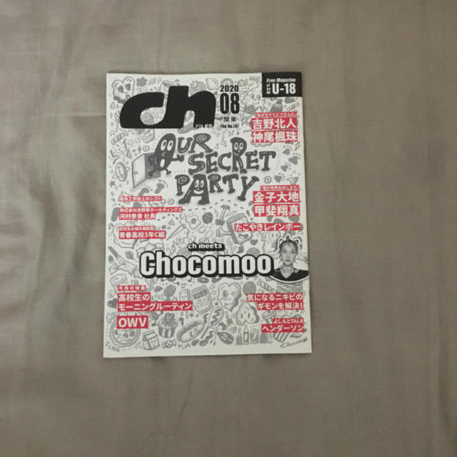 【最新号】chFILES Chocomoo エンタメ/ホビーの雑誌(アート/エンタメ/ホビー)の商品写真