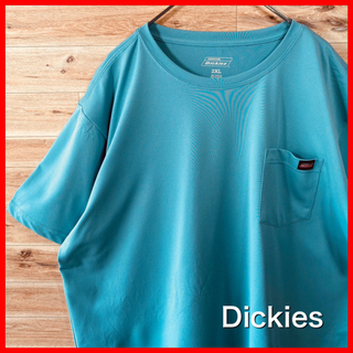 ディッキーズ(Dickies)の【人気カラー】ディッキーズ2XL半袖tシャツ  くすみブルーアメリカ古着(Tシャツ/カットソー(半袖/袖なし))