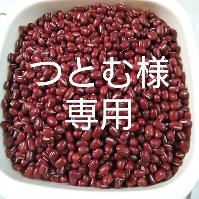 北海道産　小豆　農家直送 食品/飲料/酒の食品(野菜)の商品写真