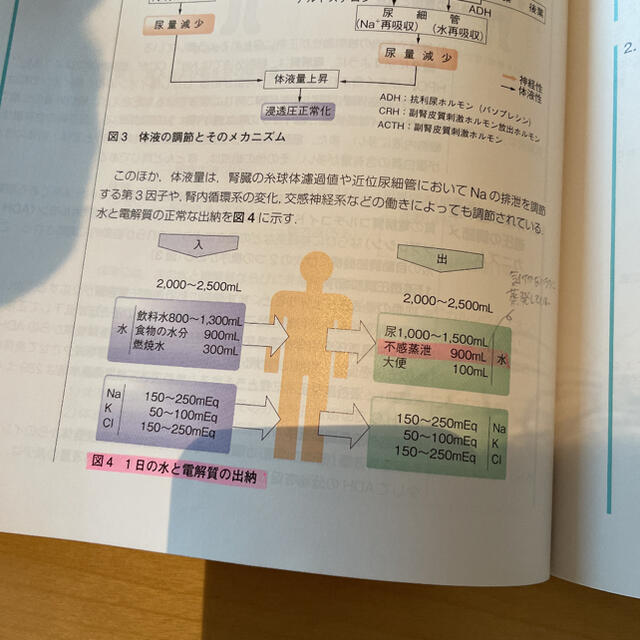 看護過程に沿った対症看護 病態生理と看護のポイント エンタメ/ホビーの本(健康/医学)の商品写真