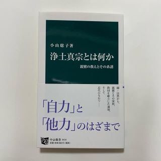 浄土真宗とは何か 親鸞の教えとその系譜(文学/小説)