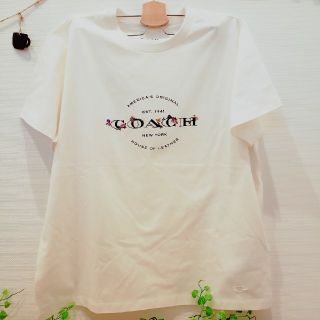 コーチ(COACH)の新品COACH　レディースTシャツ(Tシャツ(半袖/袖なし))