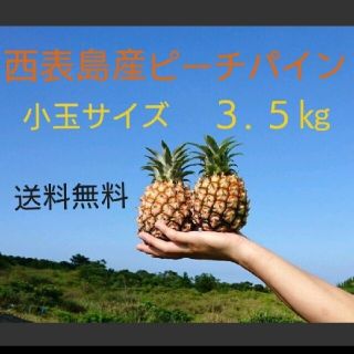 １０%オフセール中！西表島産ピーチパイン小玉サイズ約３.５㎏(６～９玉)(フルーツ)