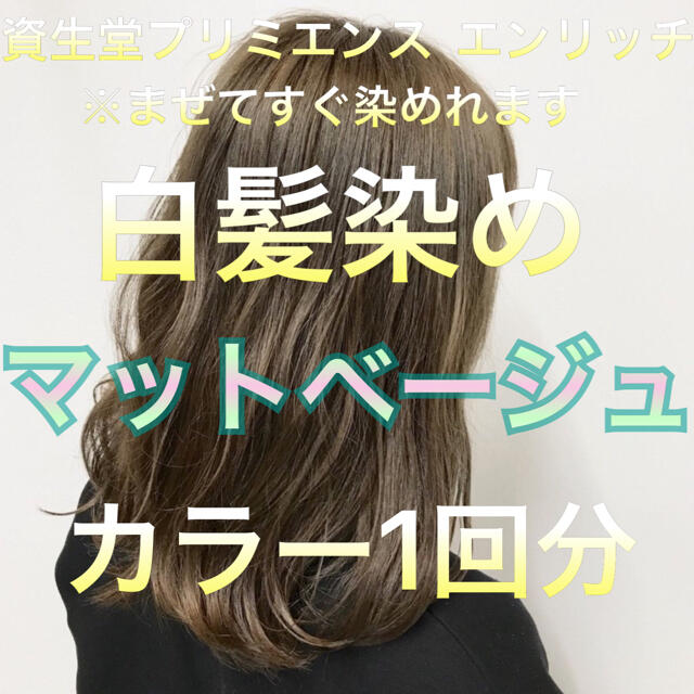 SHISEIDO (資生堂)(シセイドウ)の美容室の白髪染め マットベージュ 1回分  コスメ/美容のヘアケア/スタイリング(白髪染め)の商品写真