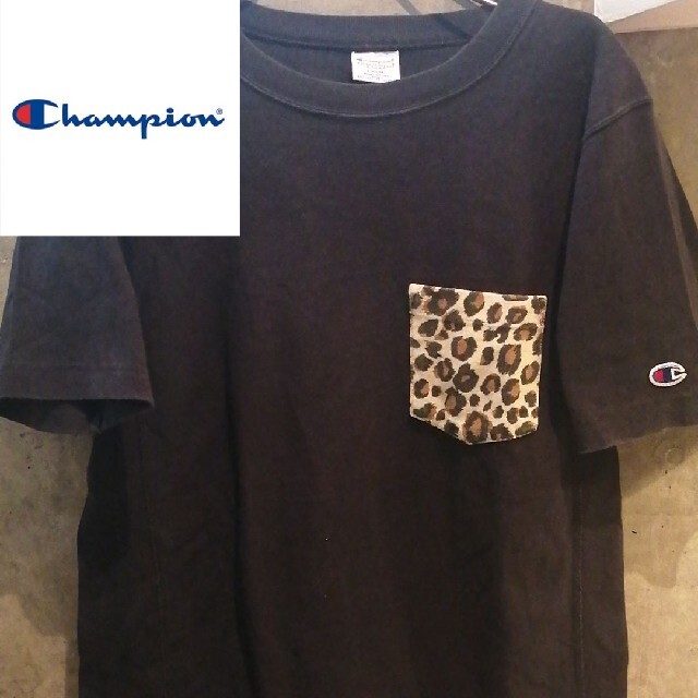 Champion(チャンピオン)の【ヒョウ柄ポケット】championT　STUSSY GDC　NIKE　FCRB メンズのトップス(Tシャツ/カットソー(半袖/袖なし))の商品写真