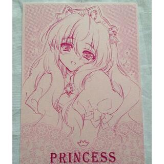 CARNELIAN 「PRINCESS プリンセス」抱き枕カバー限定小冊子(一般)