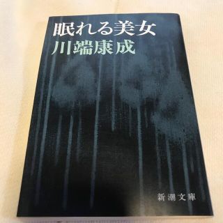 眠れる美女、ジョゼと虎と魚たち2冊セット(文学/小説)