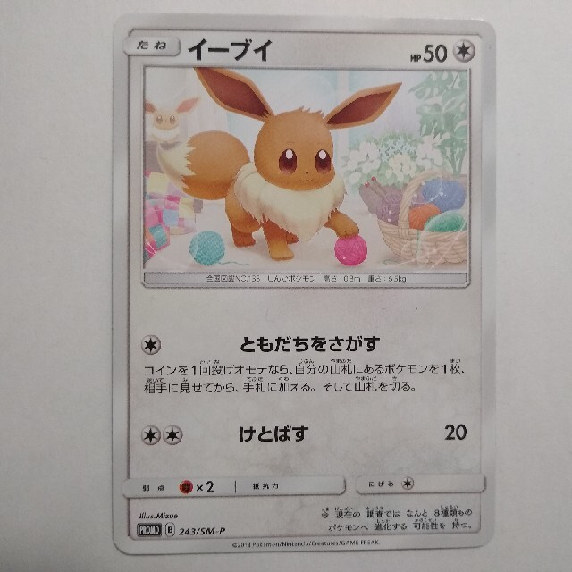 ポケモンカードゲーム　ポケカ　プロモ　イーブイ　ポケカ教室　ピカチュウ