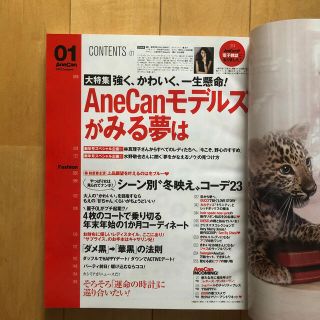 AneCan (アネキャン) 2014年 01月号(ファッション)