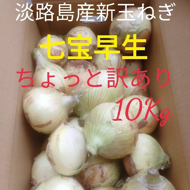 ★訳あり10Kg★淡路島新玉ねぎ　たまねぎ　玉葱 食品/飲料/酒の食品(野菜)の商品写真