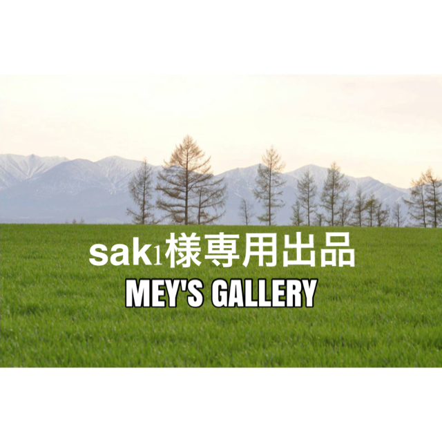 sak1様専用出品 ハンドメイドのアクセサリー(その他)の商品写真