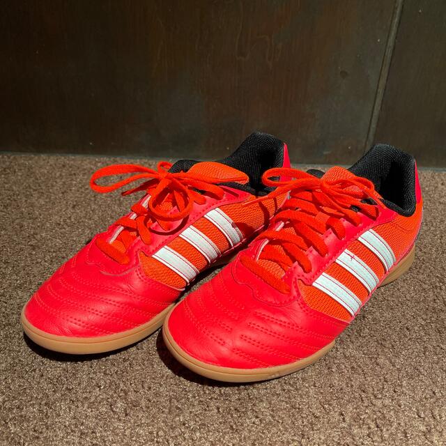 adidas(アディダス)のフットサルシューズ室内用　24cm adidas sala スポーツ/アウトドアのサッカー/フットサル(シューズ)の商品写真