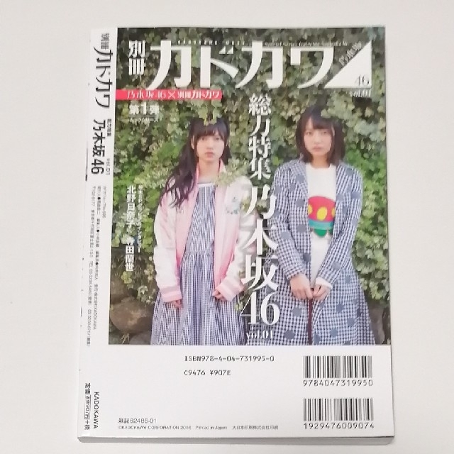 乃木坂46(ノギザカフォーティーシックス)の別冊カドカワ 総力特集 乃木坂46 vol.01& vol.02 エンタメ/ホビーのタレントグッズ(アイドルグッズ)の商品写真