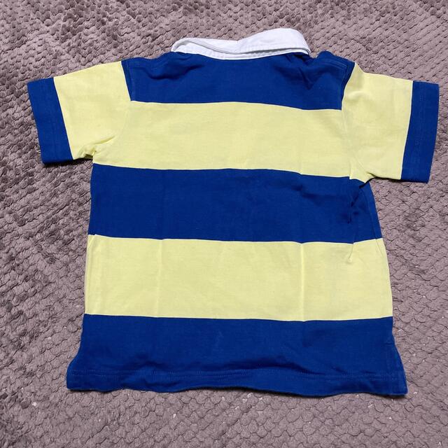 CANTERBURY(カンタベリー)の中古　カンタベリーキッズ用ポロシャツ  キッズ/ベビー/マタニティのキッズ服男の子用(90cm~)(Tシャツ/カットソー)の商品写真