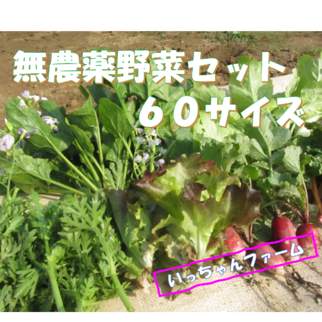 kirakirayo様専用　春野菜詰め合わせ　６０サイズ　５月８日～９日の発送 食品/飲料/酒の食品(野菜)の商品写真