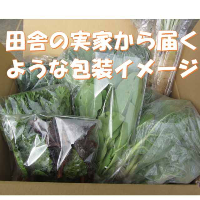 kirakirayo様専用　春野菜詰め合わせ　６０サイズ　５月８日～９日の発送 食品/飲料/酒の食品(野菜)の商品写真