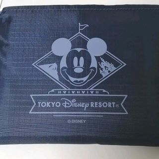 ディズニー(Disney)のディズニーリゾート　新品　エコバッグ　サイズ大　品切(エコバッグ)