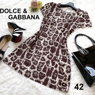 ドルチェアンドガッバーナ(DOLCE&GABBANA)の極美品 DOLCE & GABBANA ワンピース 豹柄 総柄 ストレッチ リブ(ひざ丈ワンピース)