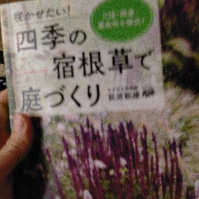 咲かせたい！四季の宿根草で庭づくり 日陰・酷暑・悪条件を解決！