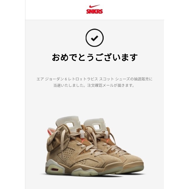 NIKE(ナイキ)の【値引中】NIKE エア ジョーダン6 Travis Scott 28cm メンズの靴/シューズ(スニーカー)の商品写真