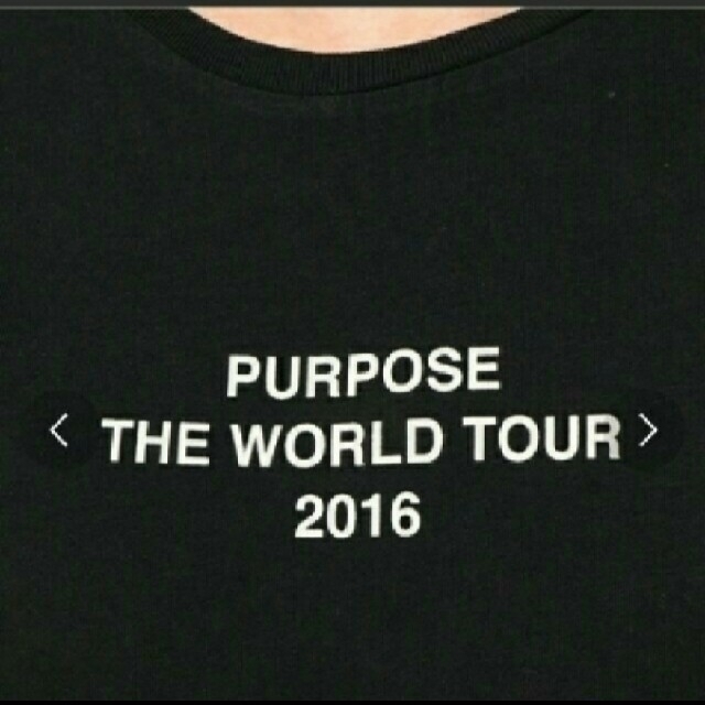 UNDEFEATED(アンディフィーテッド)の★国内正規品★2016 PURPOSE THE WORLD TOUR  Tee エンタメ/ホビーのタレントグッズ(ミュージシャン)の商品写真