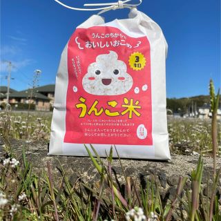 日本初！？食卓のタブーに挑戦！【うんこ米】精白米3kg(米/穀物)