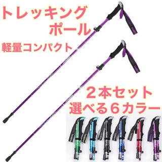 新品　登山　ウォーキング　軽量　トレッキングポール　ステッキ　杖　2本セット　紫(登山用品)